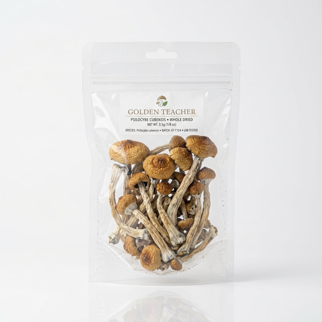 Golden Teacher Raw Dried 5g Pack